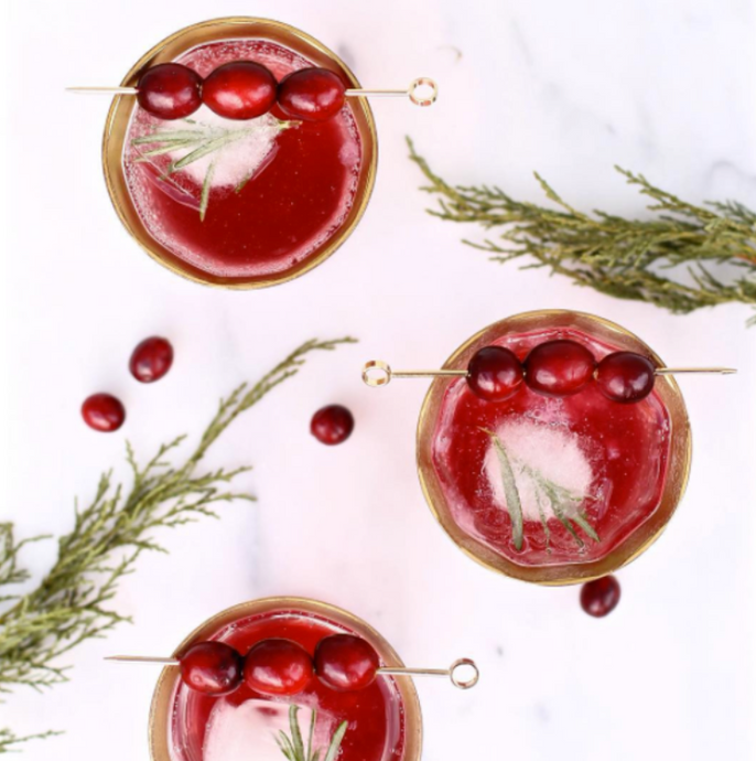 CRANBERRY HIBISCUS SHRUB SPARKLER